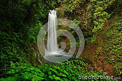 La Paz Waterfall gardens, with green tropical forest, Central Valley, Costa RIca Stock Photo