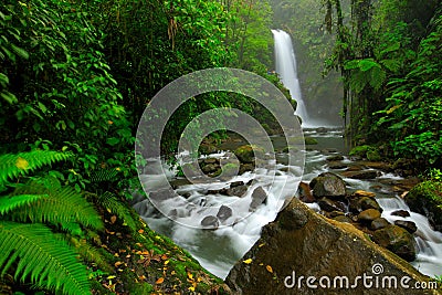 La Paz Waterfall Gardens, with green tropical forest, Central Valley, Costa Rica. Traveling Costa Rica. Holiday in tropic forest. Stock Photo