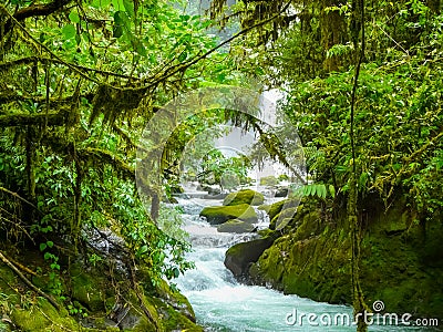 La Paz Waterfall Gardens Nature Park Stock Photo