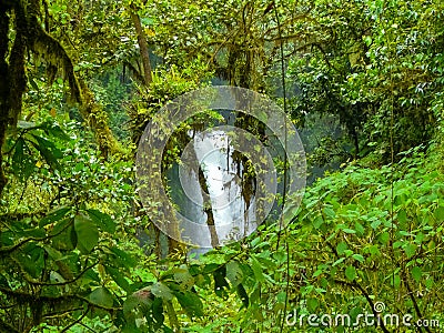 La Paz Waterfall Gardens Nature Park Stock Photo