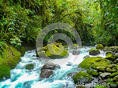 La Paz Waterfall Gardens Nature Park Stock Photo