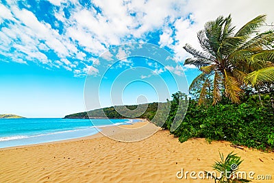 La Perle beach in Guadeloupe Stock Photo