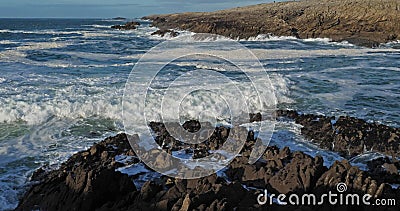 La péninsule le Morbihan en Bretagne France de quiberon de sauvage de petite ferme banque de vidéos La péninsule le Morbihan en Bretagne France de quiberon de sauvage de petite ferme banque de vidéos
