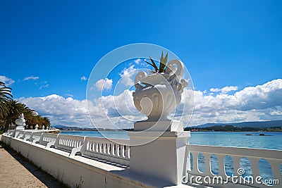 La Toja island Toxa beach flower pot in Pontevedra Stock Photo