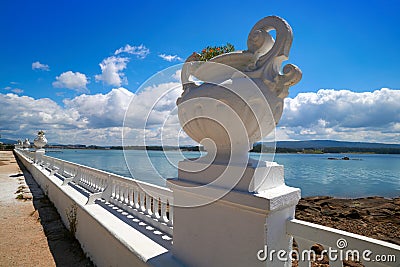 La Toja island Toxa beach flower pot in Pontevedra Stock Photo