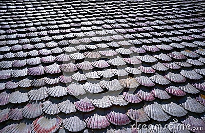 La toja island Toxa Chapel made of sea shells Stock Photo