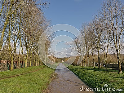 La Trouille river with bare trees on a sunny winter day near Mons Editorial Stock Photo