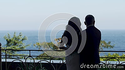 La vue arrière le marié étreint la jeune mariée et ils regardent la mer du balcon banque de vidéos La vue arrière le marié étreint la jeune mariée et ils regardent la mer du balcon banque de vidéos