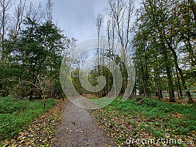 Laagse Bergse Bos in the Netherlands during the autumn Stock Photo