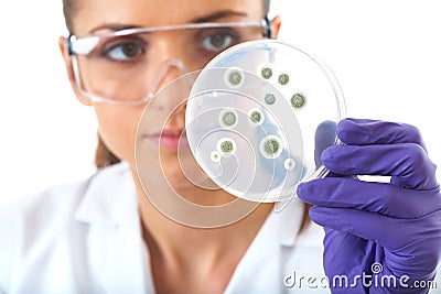 Lab assistant check petri dish with bacterium Stock Photo