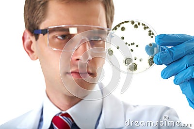 Lab assistant check petri dish with bacterium Stock Photo