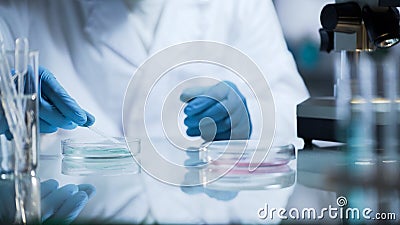 Lab assistant preparing microscope slides, disinfecting them before research Stock Photo