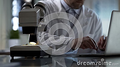 Lab expert typing on laptop, entering experiment results in report document Stock Photo