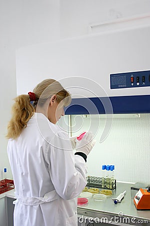 Lab work Stock Photo