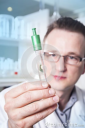 Lab worker observing test tube with mold at the laboratory Stock Photo