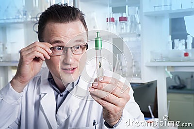 Lab worker observing test tube with mold at the laboratory Stock Photo