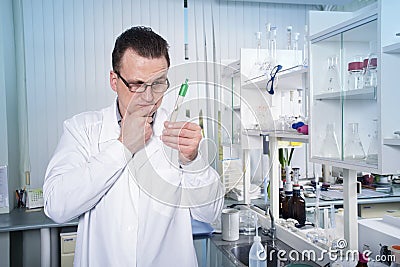 Lab worker observing test tube with mold at the laboratory Stock Photo