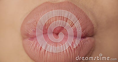 Labbra sexy femminili grassottelle del primo piano estremo che indossano rossetto nudo che fa bacio e sorridere Labbra sexy femminili grassottelle del primo piano estremo che indossano rossetto nudo che fa bacio e sorridere