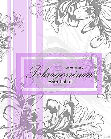 Label for essential oil of pelargonium Vector Illustration