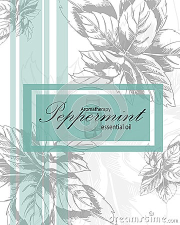 Label for essential oil of peppermint Vector Illustration