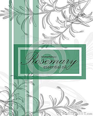 Label for essential oil of rosemary Vector Illustration