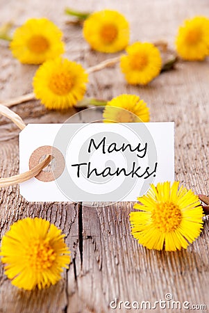 Label With Many Thanks Stock Photo - Image: 40431586