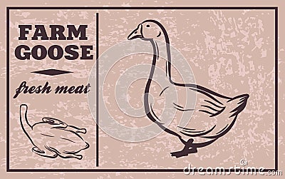 Label of meat products. Chicken. Poultry meat Vector Illustration