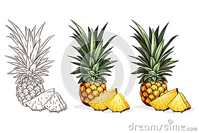Label or sticker design with pineapple illustration. Natural homemade pineapple jam. For natural or organic fruit products and Cartoon Illustration
