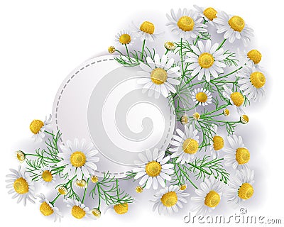 Label with Wild Chamomile Flowers Vector Illustration