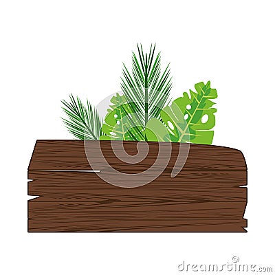 Label wooden signal with leafs palm summer icon Vector Illustration