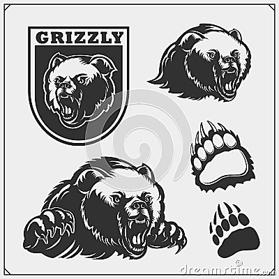 Labels, emblems and design elements for sport club with grizzly bear. Print design for t-shirts. Vector Illustration