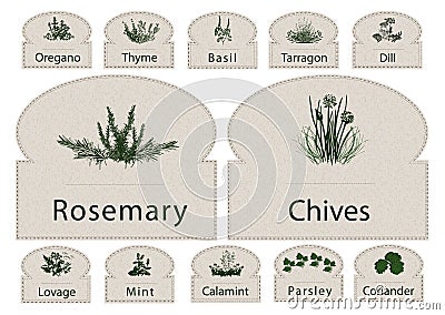 Labels Herbs paper Vector Illustration