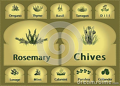 Labels Herbs spice Stock Photo