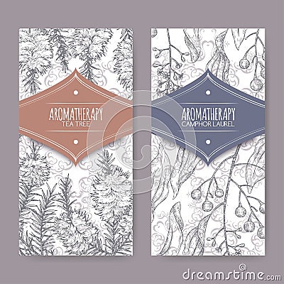 2 labels with tea tree and camphorwood branch sketch on elegant lace background. Vector Illustration