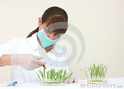 A laboratory assistant Stock Photo