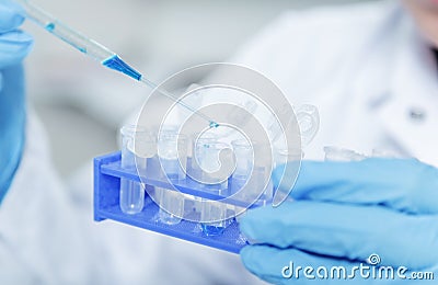 Laboratory assistant in the of food quality.Cell culture assay to test genetically modified seed Stock Photo