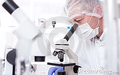 Laboratory assistant in the laboratory of of food quality.Cell culture assay to test genetically modified seed Stock Photo