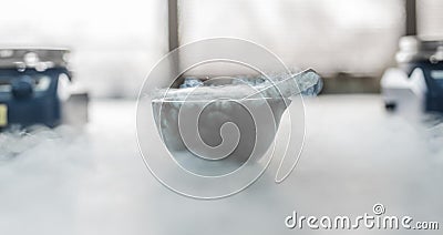 Laboratory experiment with liquid nitrogen in laboratory mortar Stock Photo