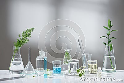 Laboratory experiment and research with leaf, oil and ingredient extract for natural beauty and organic skincare product the blank Stock Photo