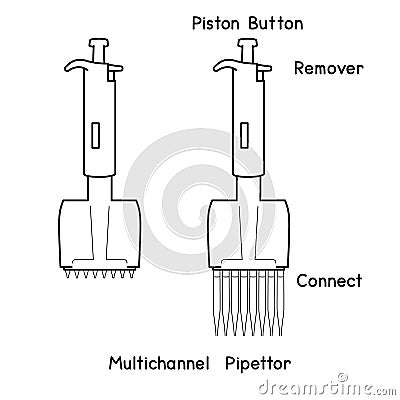 Laboratory Micropipette Set Adjustable Transfer Pipettes Controller Fixed Volume Multichannel Pipettor diagram for experiment Vector Illustration