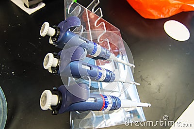 Laboratory Pipets arranged on Lab bench Stock Photo