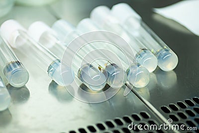 Laboratory scene with multiple vials containing samples for agricultural research Stock Photo