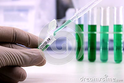 Scientist looking for COVID-19 vaccine Stock Photo