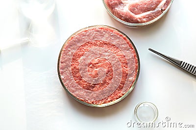 Laboratory studies of artificial meat. Minced meat in glass Petri dish. Top view. Chemical experiment Stock Photo