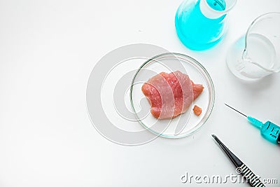 Laboratory studies of artificial meat. Minced meat in glass Petri dish. Chemical experiment. Space for text Stock Photo