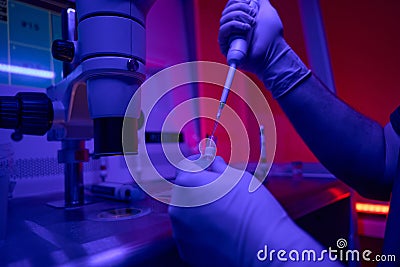 Laboratory technician conducting researches with germ cells Stock Photo