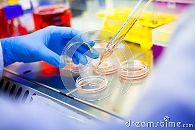Laboratory work with cells and tissue cultures in Flowbox Stock Photo