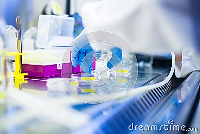 Laboratory work with cells and tissue cultures in Flowbox Stock Photo