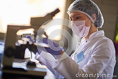 Laboratory worker looking samle through microscope Stock Photo