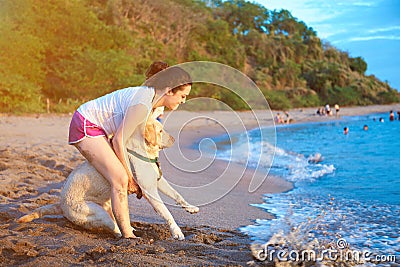 Labrador dog afraid of swimming Stock Photo